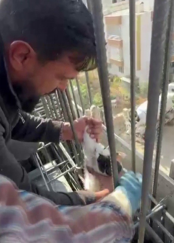 kedi-dokulen-betonun-altinda-kalmaktan-son-anda-kurtarildi