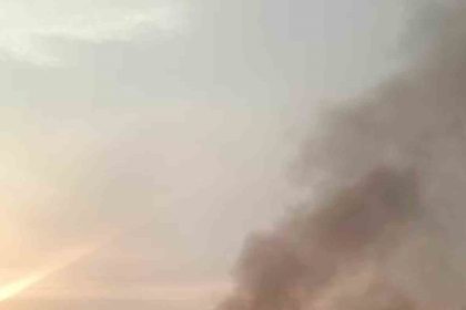 mersinde-tirda-cikan-yangin-korkuttu