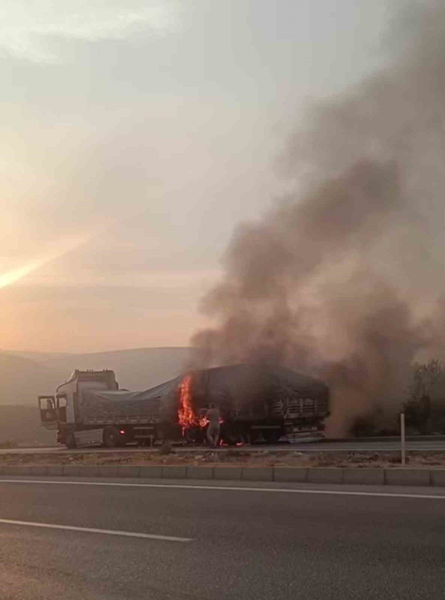 mersinde-tirda-cikan-yangin-korkuttu