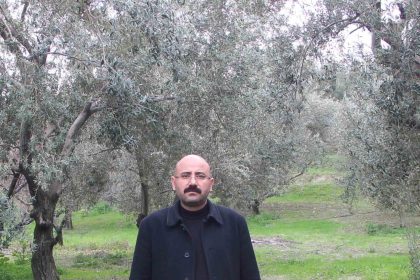 mutda-bu-yil-120-bin-ton-zeytin-rekoltesi-bekleniyor