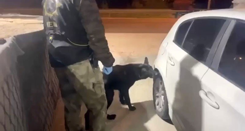 narkotik-kopegi-tony-bagajdaki-uyusturucuyu-buldu