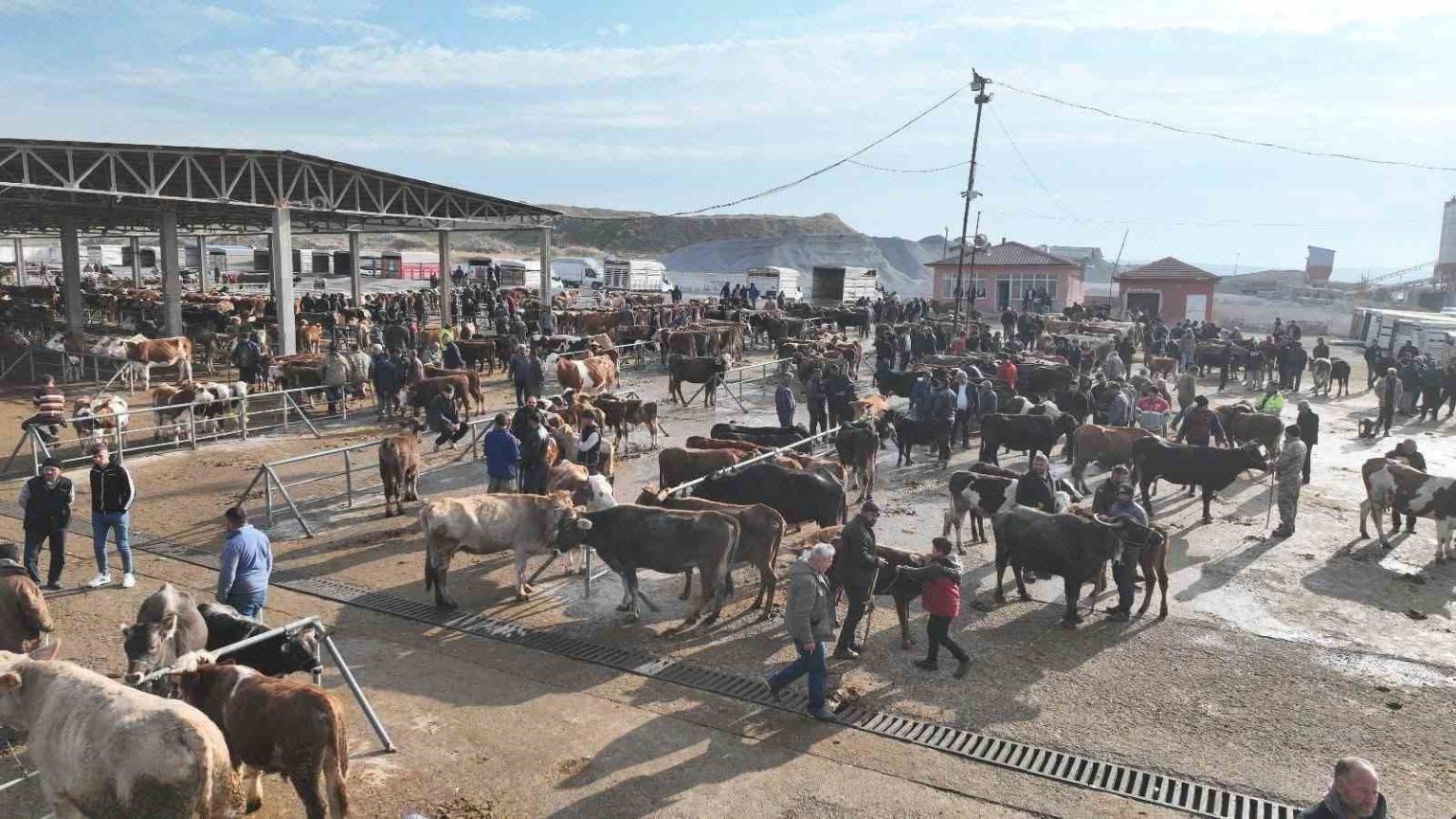 sap-tehlikesi-nedeniyle-kapatilmisti-sorgun-hayvan-pazari-5-ay-sonra-yeniden-acildi