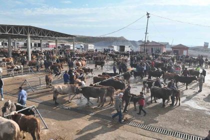 sap-tehlikesi-nedeniyle-kapatilmisti-sorgun-hayvan-pazari-5-ay-sonra-yeniden-acildi