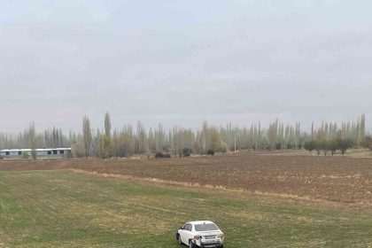 sarampole-giren-otomobil-surucusu-yaralandi