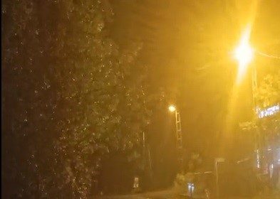 sarikamista-ayilar-kis-uykusunu-unuttu