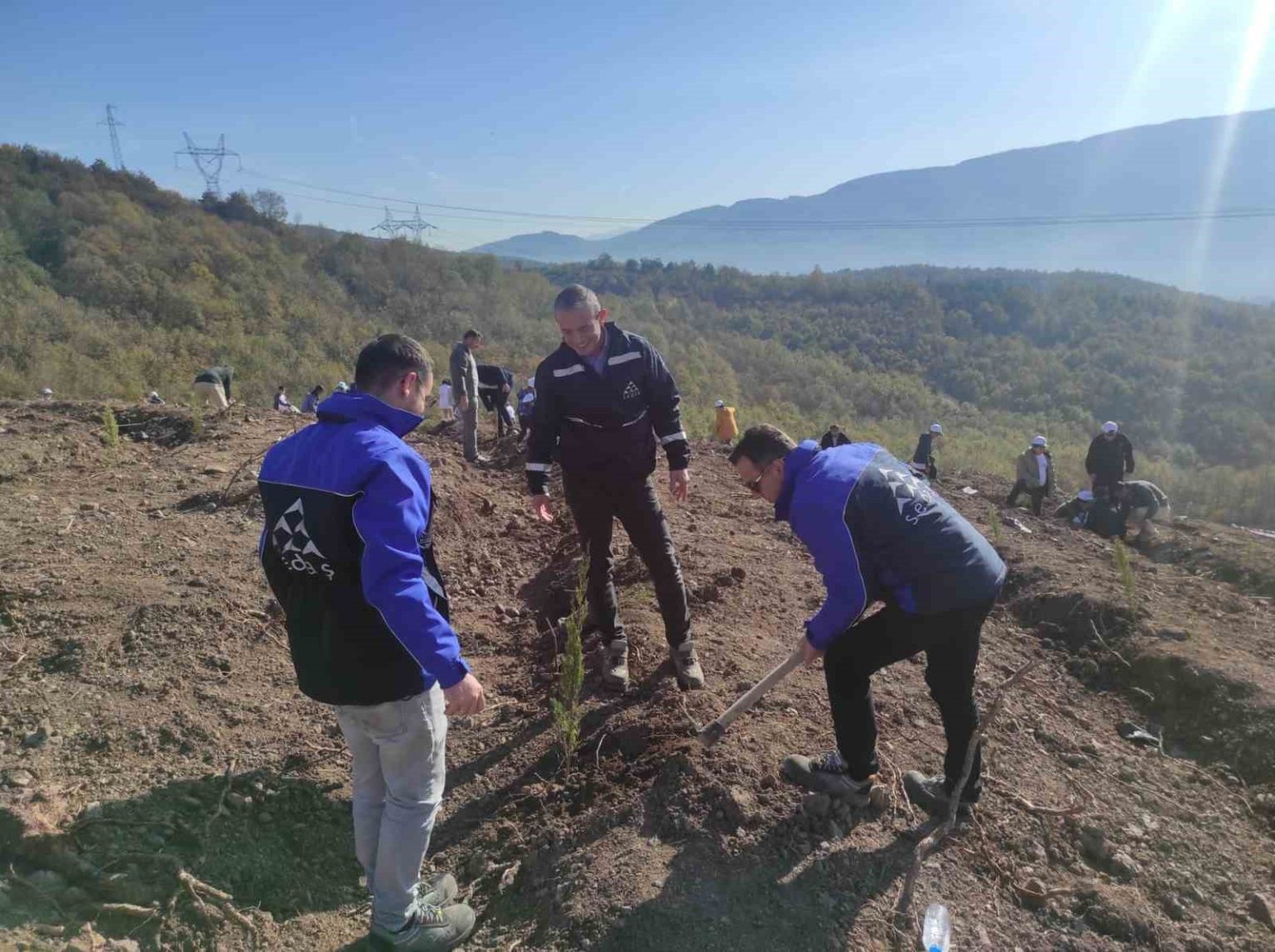 sedas-4-ilde-500-fidani-toprakla-bulusturdu