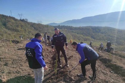 sedas-4-ilde-500-fidani-toprakla-bulusturdu