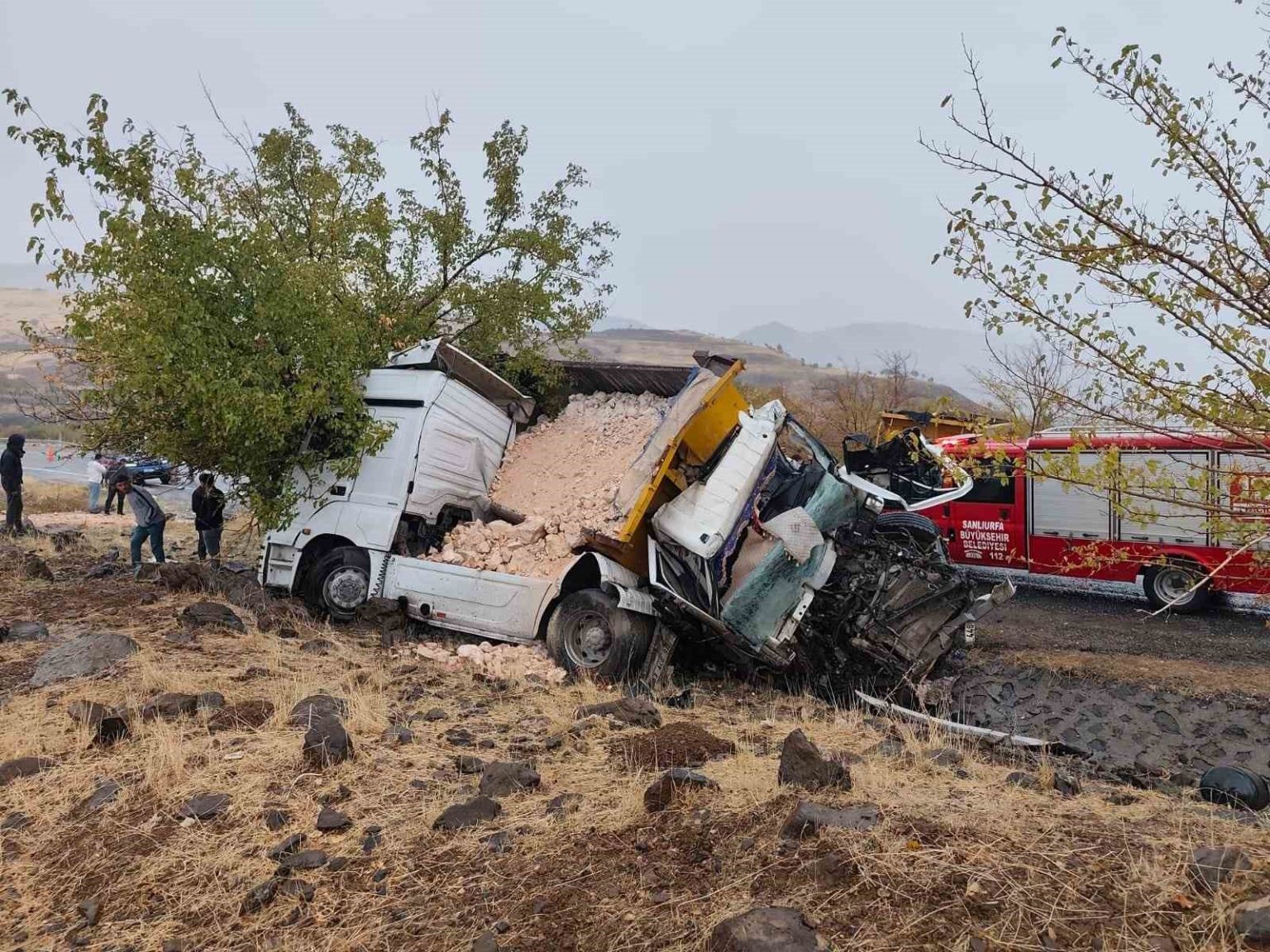 siverek-adiyaman-kara-yolunda-feci-kaza-1-olu-1-agir-yarali