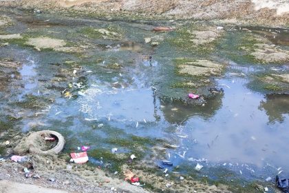 sulama-kanalindaki-baliklar-telef-olmaya-devam-ediyor