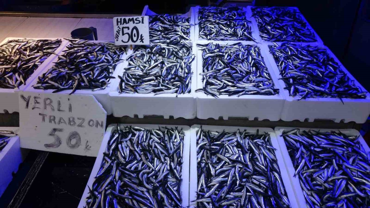 trabzonlular-hamsiye-doydu