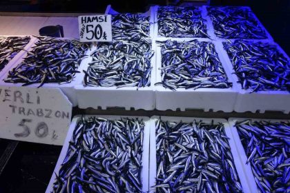 trabzonlular-hamsiye-doydu