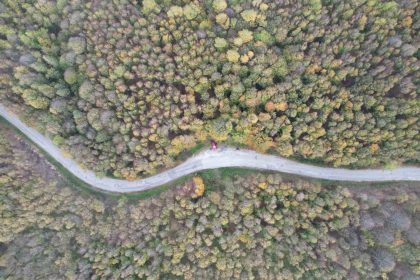 yalova-ormanlarinda-sonbahar-guzelligi