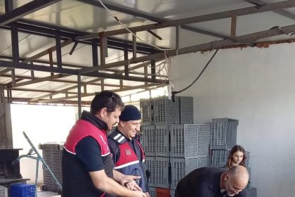 zeytin-hirsizliklarinin-karsi-denetim