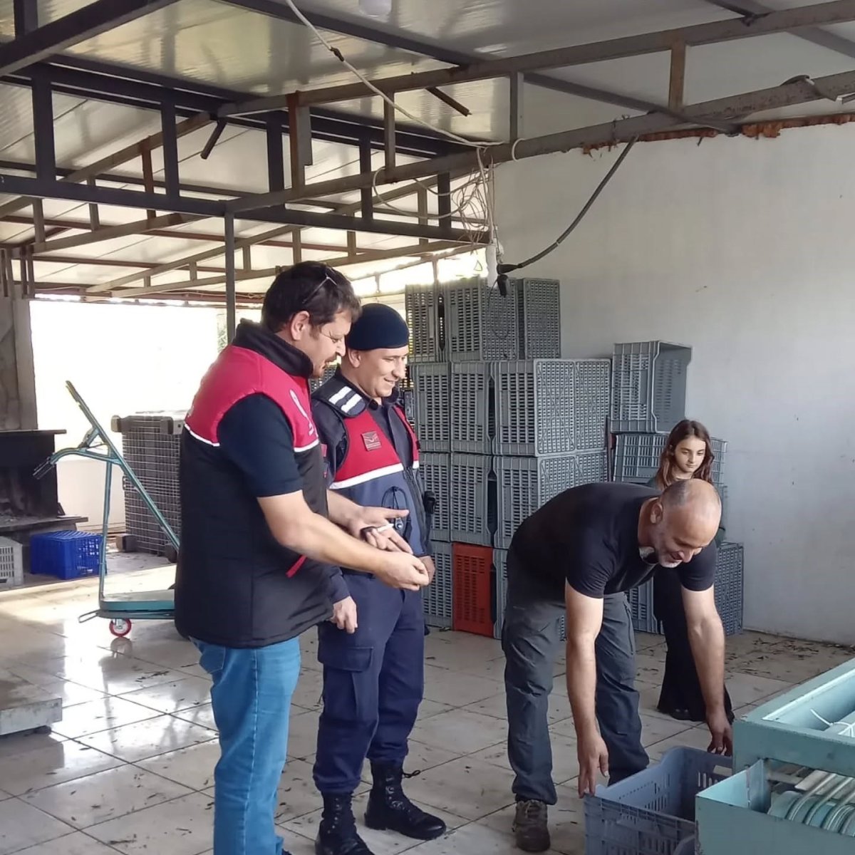 zeytin-hirsizliklarinin-karsi-denetim