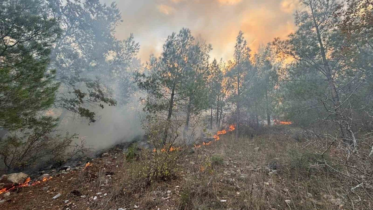 bozyazida-orman-yangini-kontrol-altina-alindi