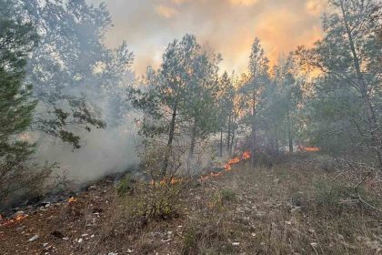 bozyazida-orman-yangini-kontrol-altina-alindi