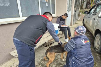 dijital-kimliklendirmede-son-tarih-31-aralik-2025