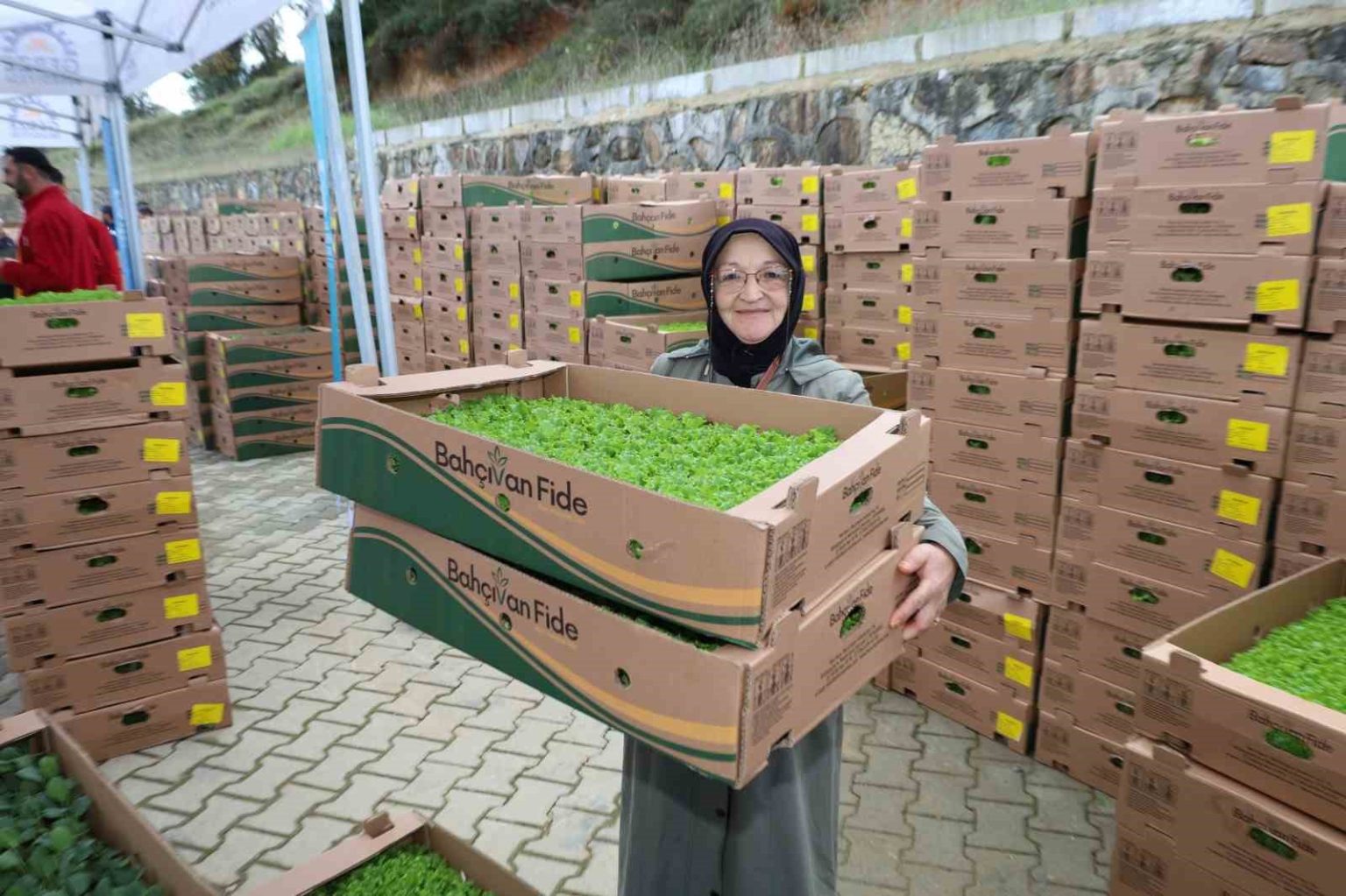 gebzeli-ciftciye-500-bin-sebze-fidesi