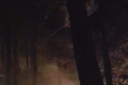 hatayda-yildirimin-dustugu-ormanlik-alandaki-yangin-16nci-saatte-kontrol-altina-alindi