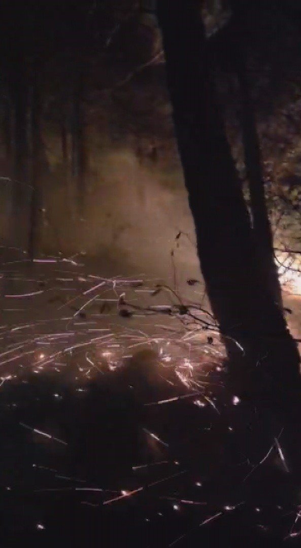 hatayda-yildirimin-dustugu-ormanlik-alandaki-yangin-16nci-saatte-kontrol-altina-alindi