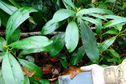 kastamonuda-dere-yataginda-olu-bulunan-anneye-ait-cep-telefonu-da-bulundu