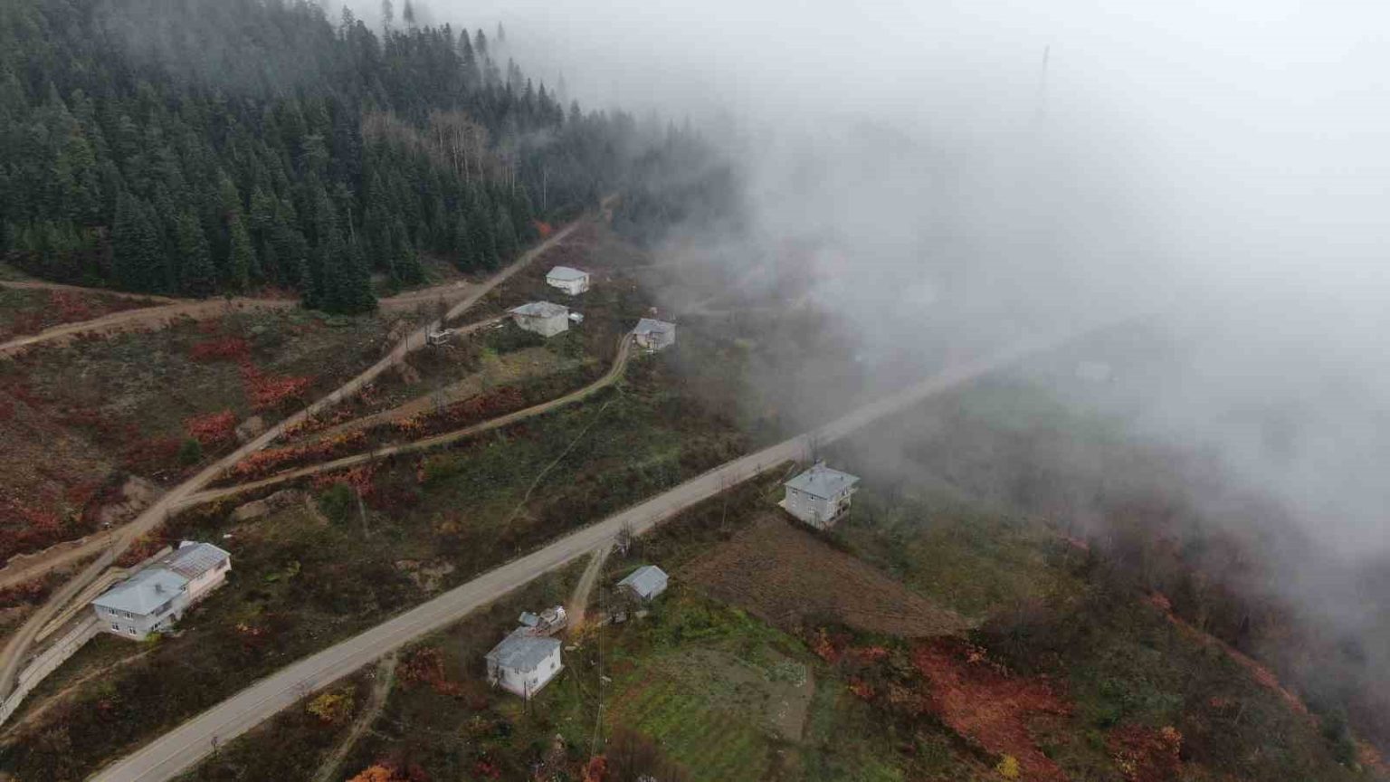 kastamonuda-yaraligoz-gecidinde-sis-nedeniyle-gorus-mesafesi-dustu