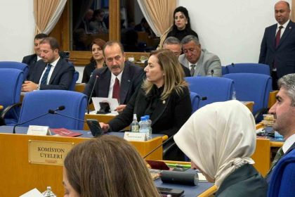 tamer-osmanagaoglundan-butce-gorusmelerinde-aliaga-vurgusu