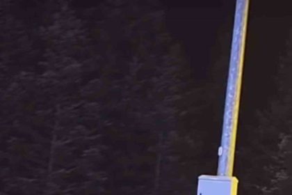 uludagda-kis-uykusuna-yatmayan-ayilar-cop-konteynerlerini-talan-etti