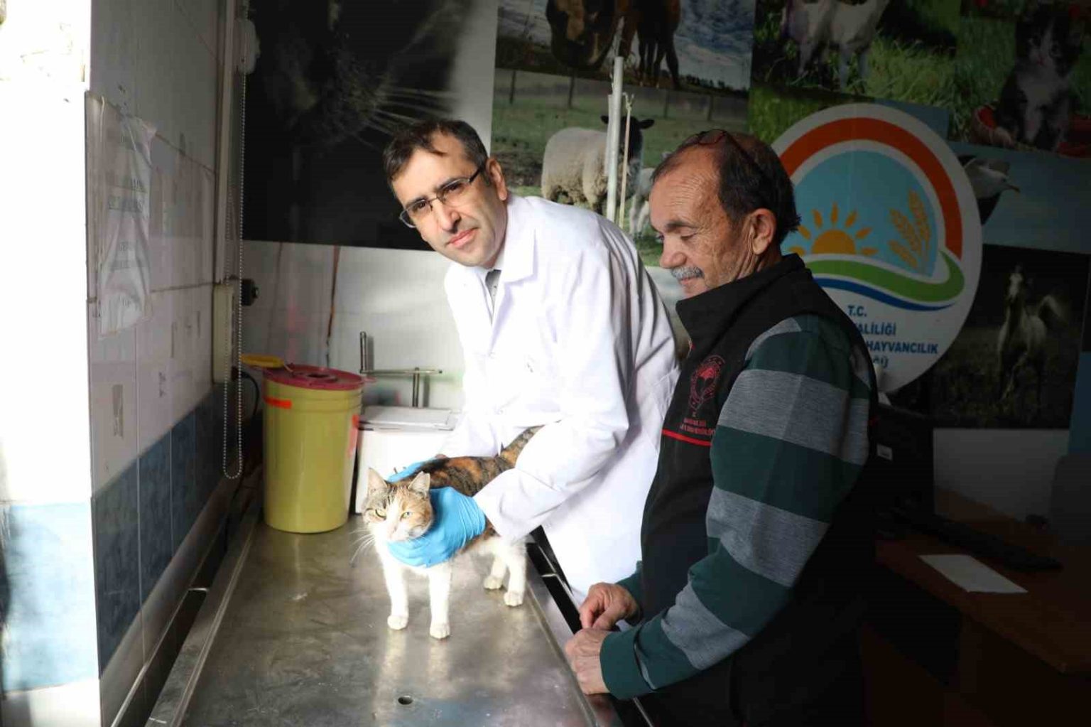 usakta-kedi-ve-kopek-sahiplerine-mikrocip-uyarisi