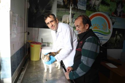 usakta-kedi-ve-kopek-sahiplerine-mikrocip-uyarisi