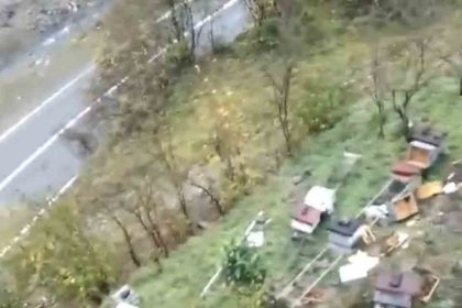 araklida-ayilar-50den-fazla-kovani-telef-etti