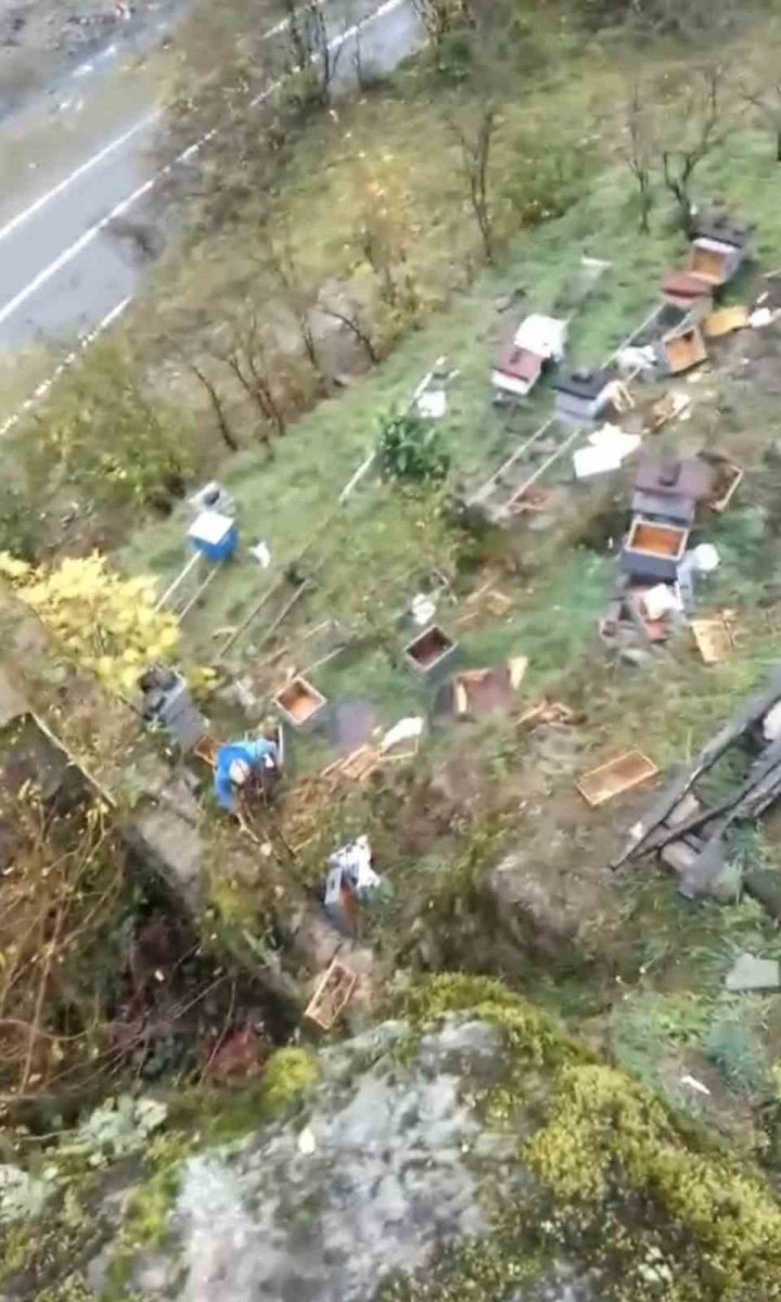 araklida-ayilar-50den-fazla-kovani-telef-etti