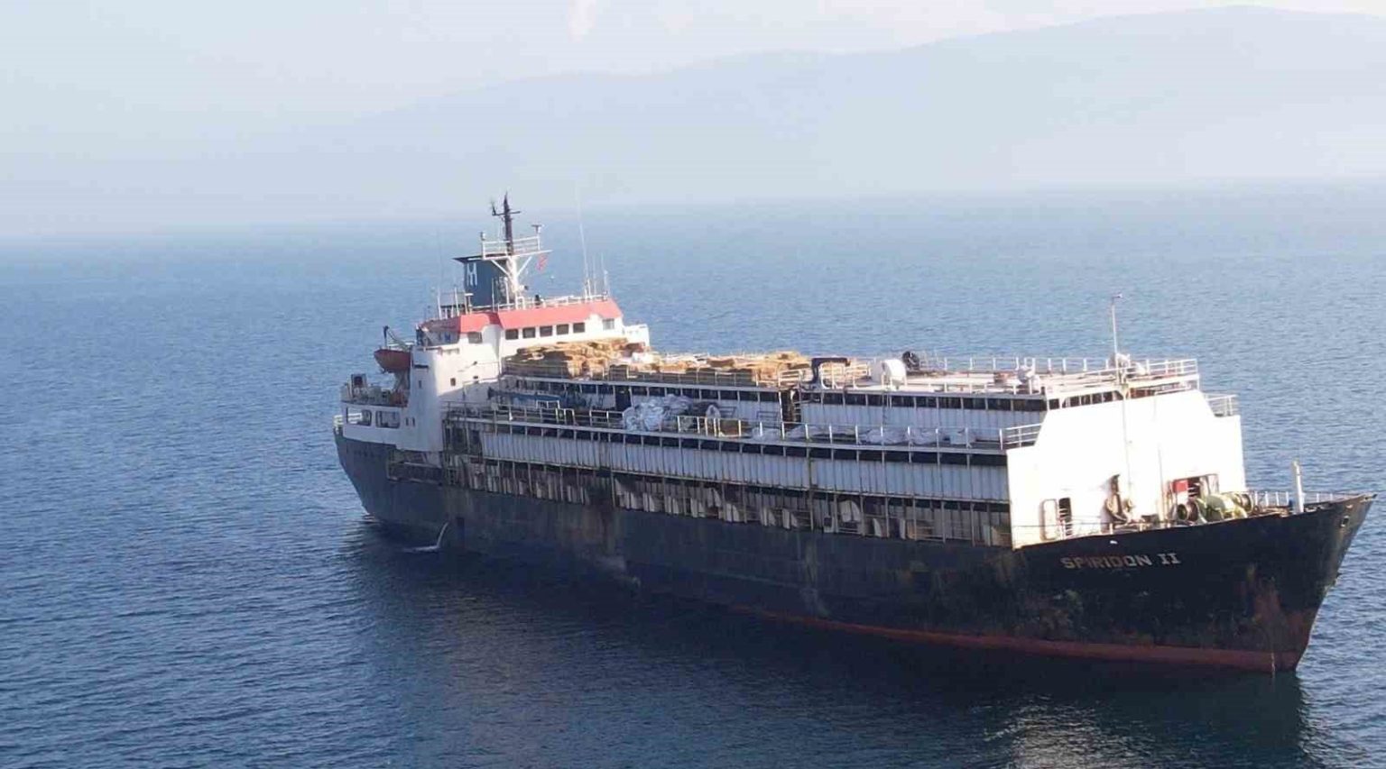 bandirma-aciklarinda-24-gun-bekletilen-spiridon-ii-hayvan-gemisi-geri-donus-yolunda-uzmanlardan-acil-tehdit-uyarisi