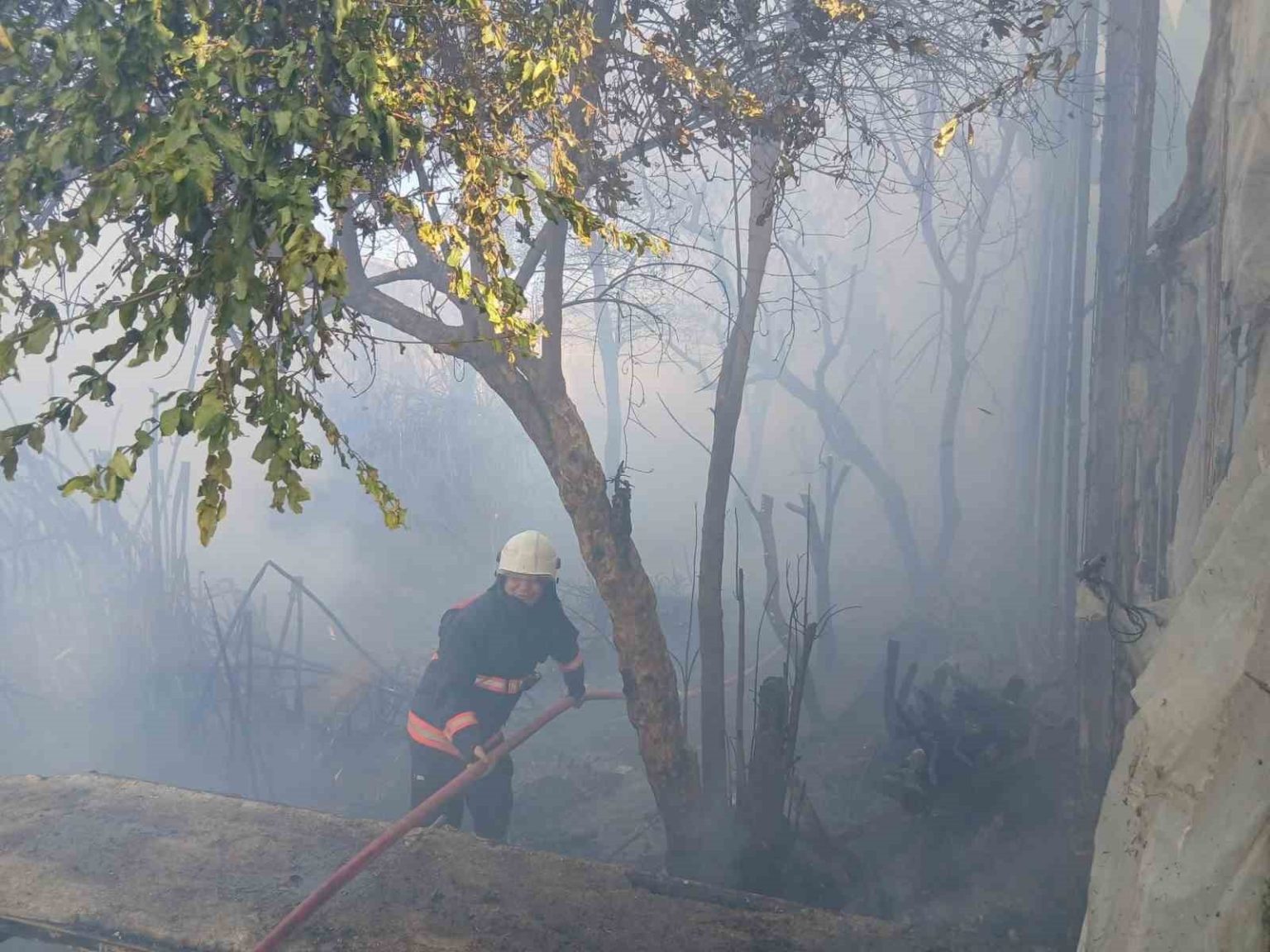 bozyazida-cikan-yangin-seralara-zarar-verdi