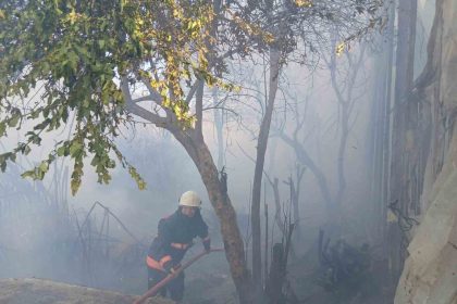 bozyazida-cikan-yangin-seralara-zarar-verdi
