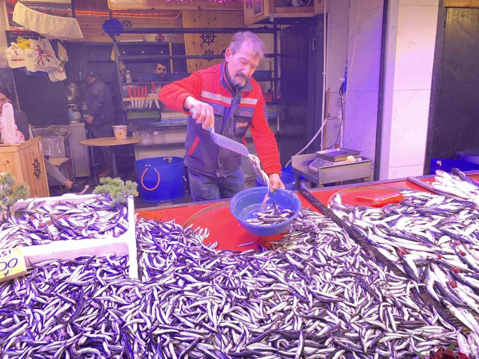 denizlerde-bollasan-hamsi-tezgahlarda-100-tlye-yer-buldu