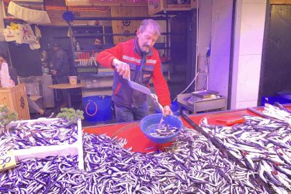 denizlerde-bollasan-hamsi-tezgahlarda-100-tlye-yer-buldu