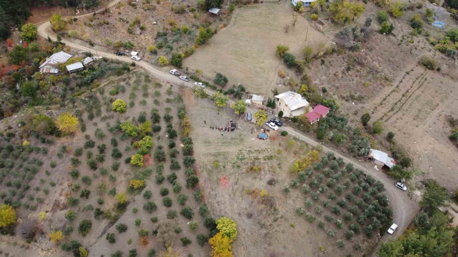 dunyanin-en-pahali-baharati-safran-adanada-hasat-edildi