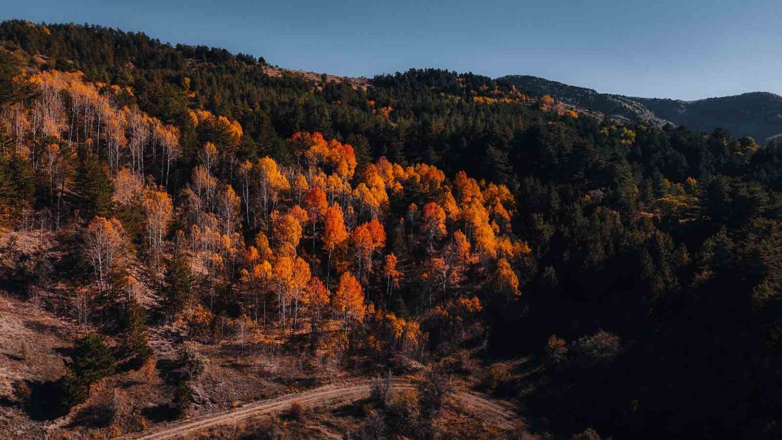 karagol-tabiat-parkinda-sonbahar-renkli-goruntuler-olusturdu