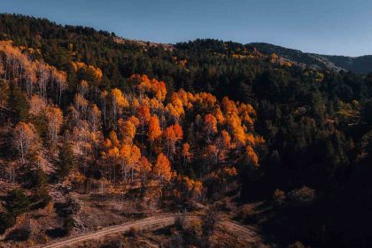 karagol-tabiat-parkinda-sonbahar-renkli-goruntuler-olusturdu