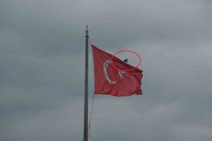 karganin-turk-bayragi-inadi