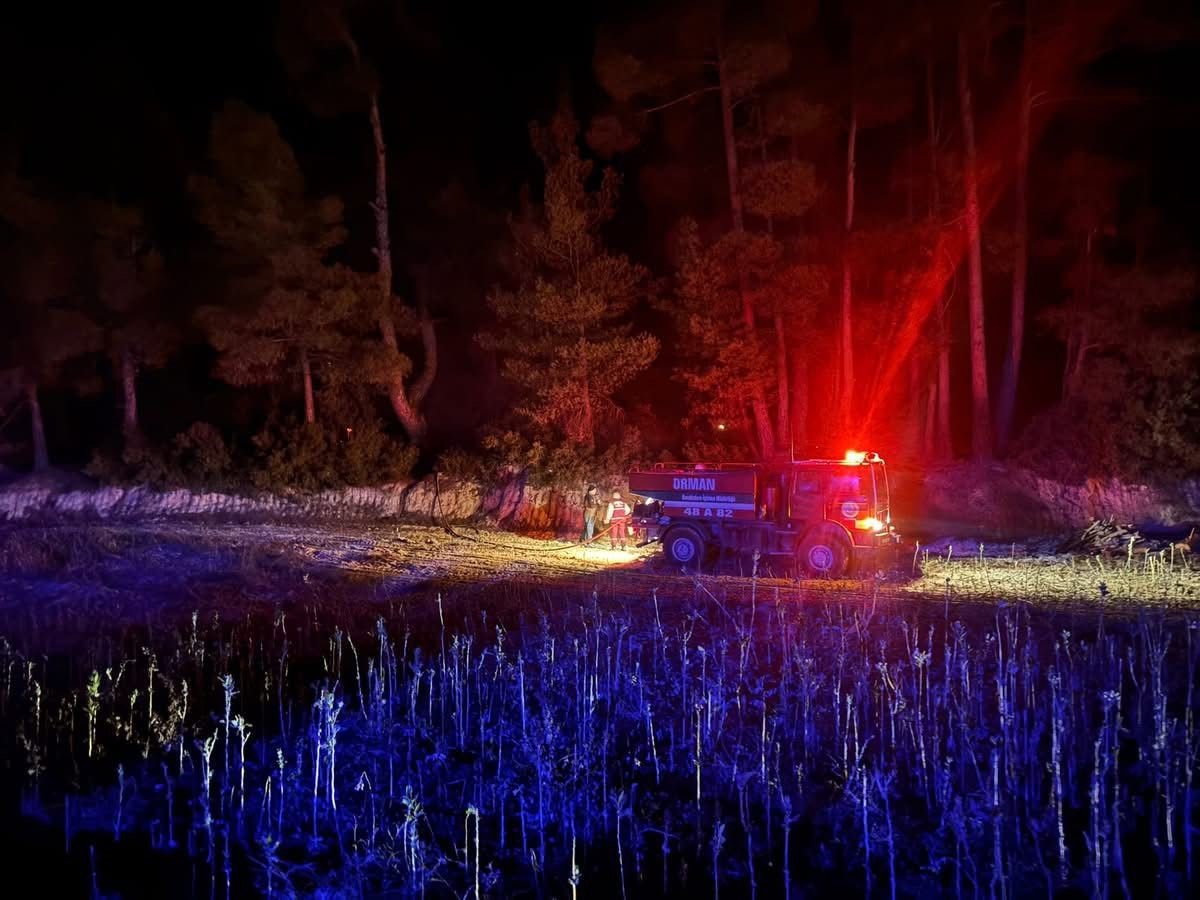 muglada-cikan-orman-yangini-kisa-surede-kontrol-altina-alindi