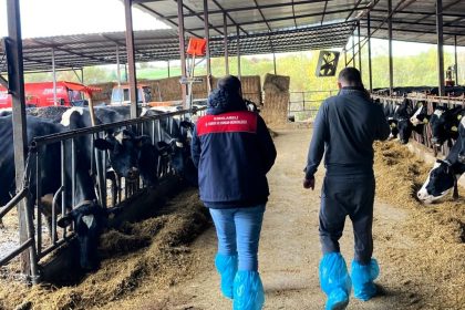 pinarhisarda-ari-hayvan-isletmelerindeki-calismalar-incelendi