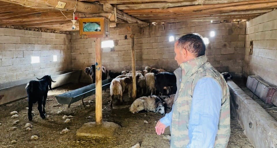 sanliurfada-basibos-kopek-dehseti-5-koyun-telef-oldu