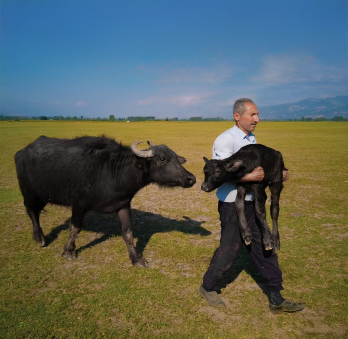 tokatli-firin-ustasinin-paristeki-odul-sevinci-vize-engeline-takildi