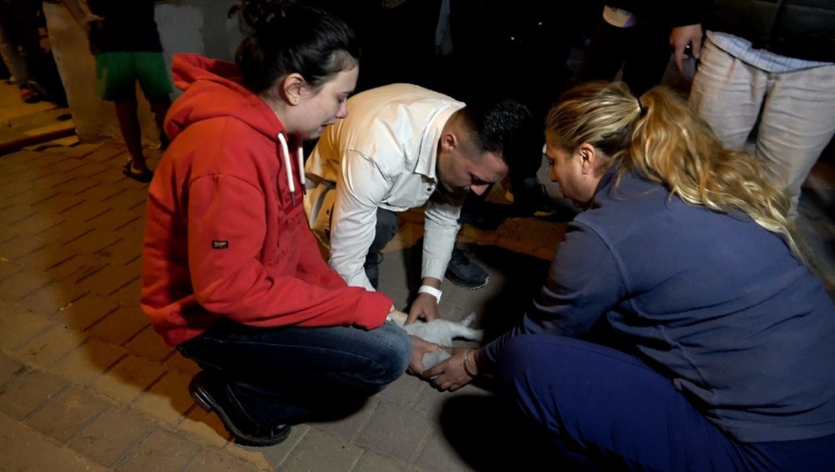 antalyadaki-yanginda-2-kedi-telef-oldu-sahipleri-gozyaslarina-boguldu