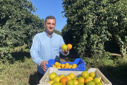 finikede-portakal-sezonu-basladi-250-bin-ton-rekolte-bekleniyor