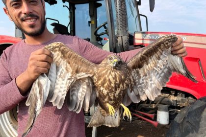 hasadi-birakti-sahinin-yardimina-kostu