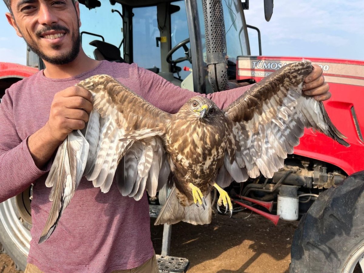 hasadi-birakti-sahinin-yardimina-kostu