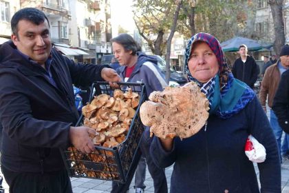 kutahyada-melki-mantari-cogaldi-fiyatlar-dustu